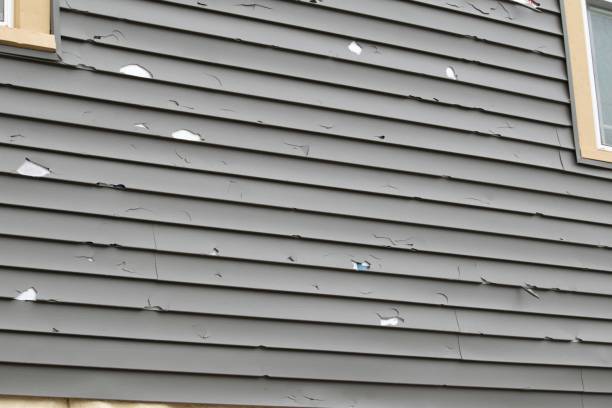 Trusted Solomon, KS Siding Services Experts